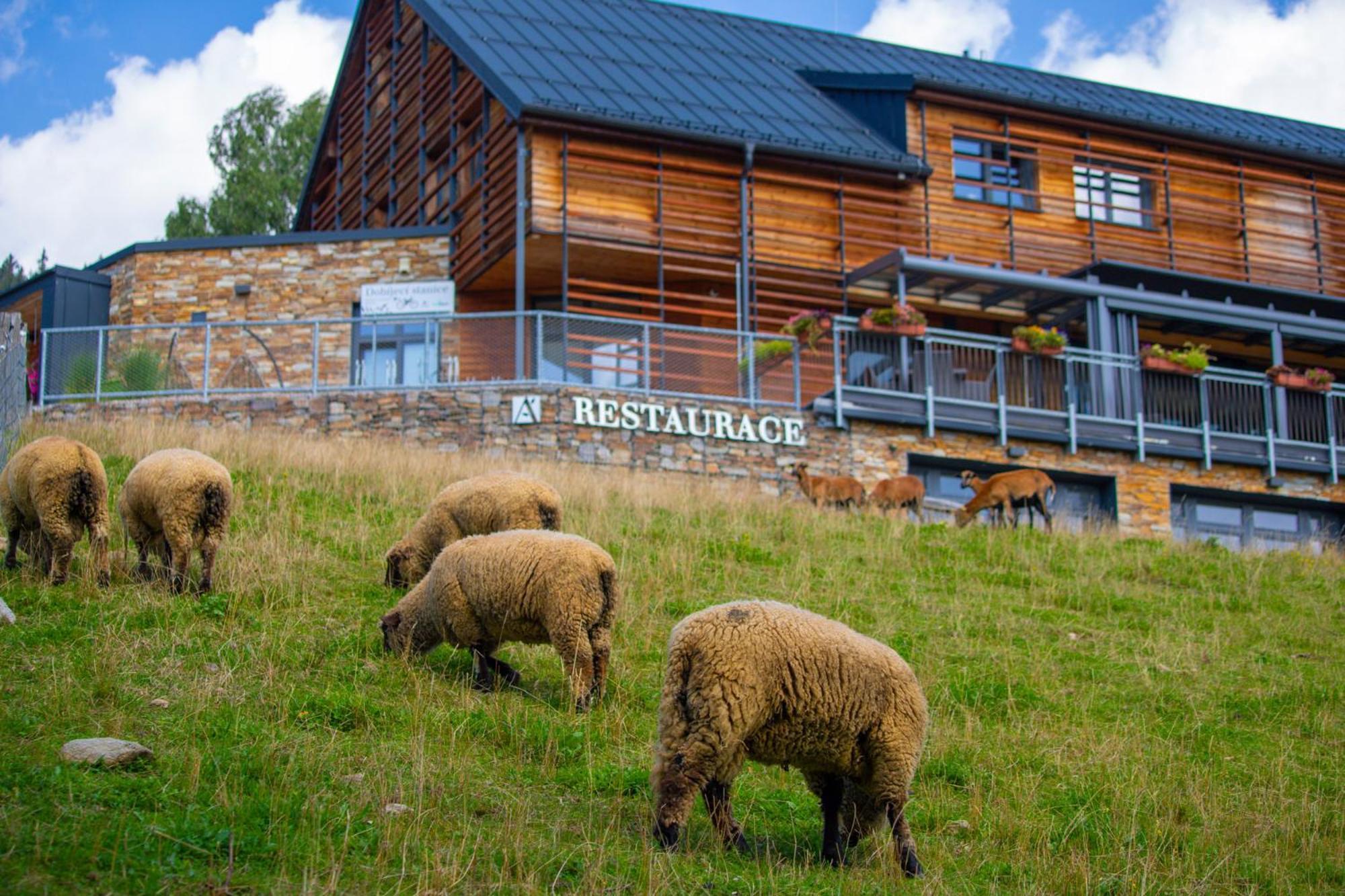 Amenity Hotel & Resort Špindlerŭv Mlýn Exteriör bild